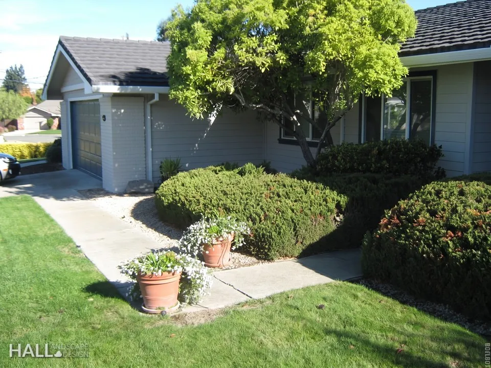 Before — the original yard in Vacaville
