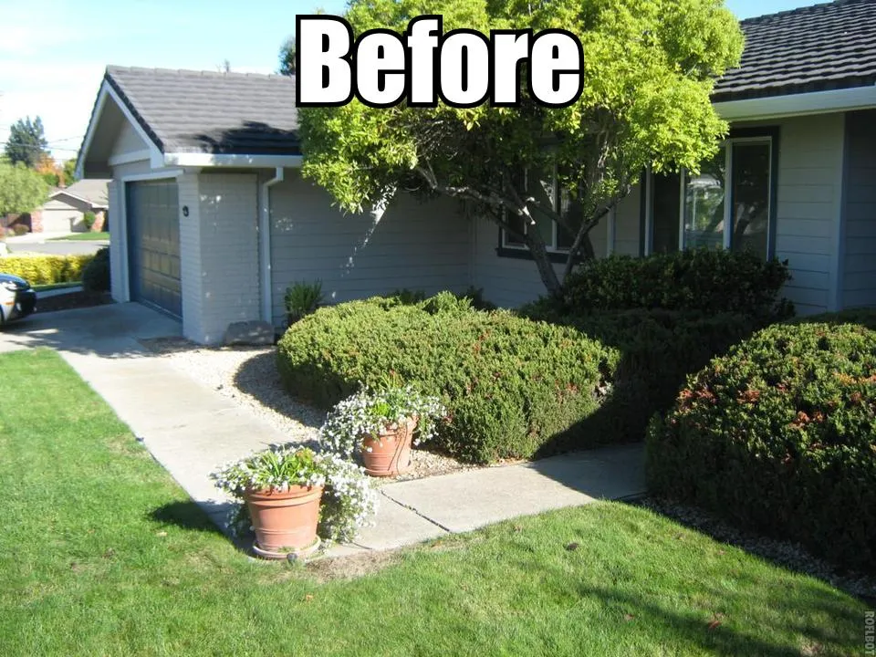 Before — the original yard in Vacaville