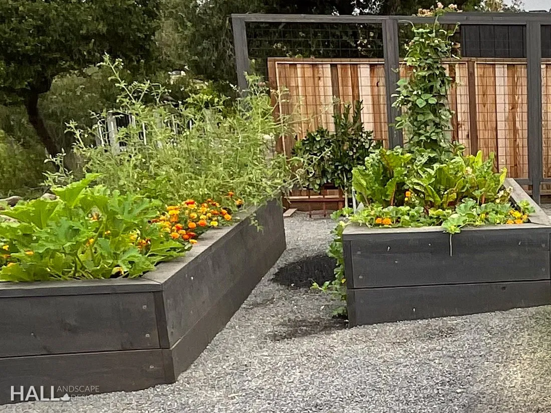 Veggie Gardens by Hall Landscape Design — Napa Valley & North Bay