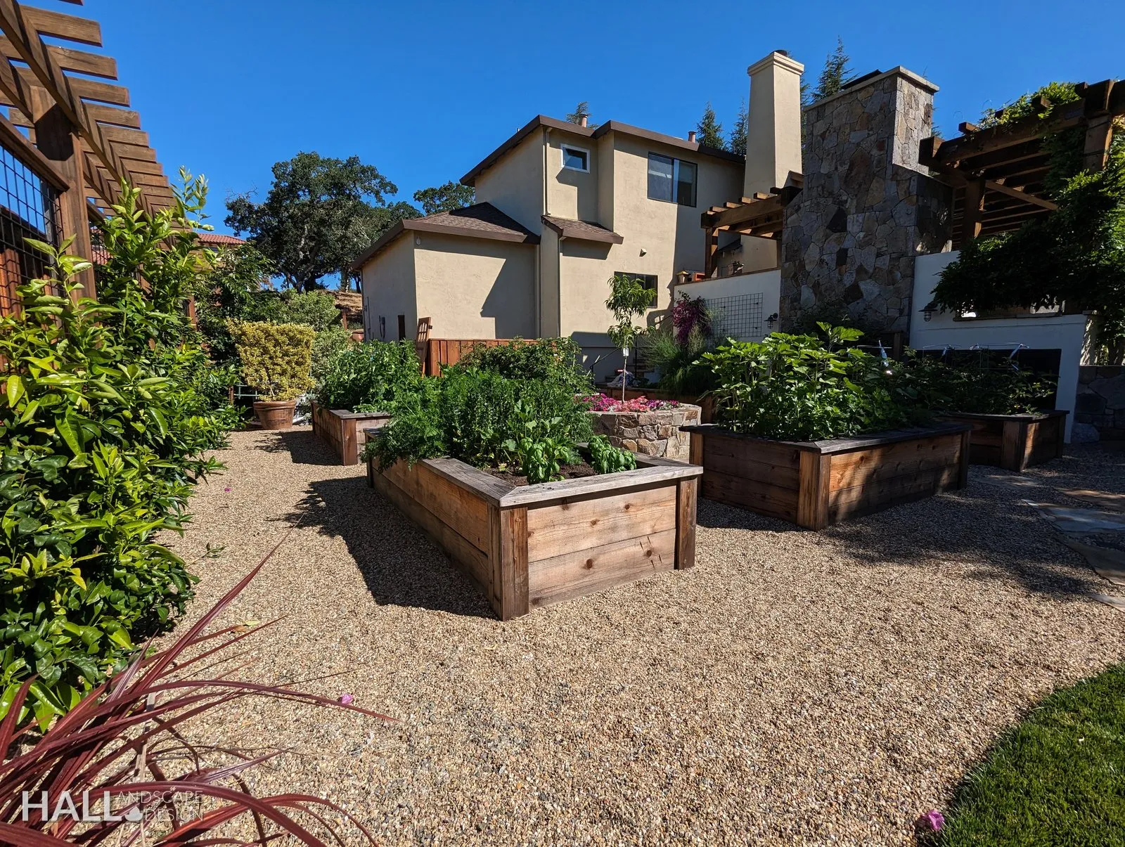 Veggie Gardens by Hall Landscape Design — Napa Valley & North Bay