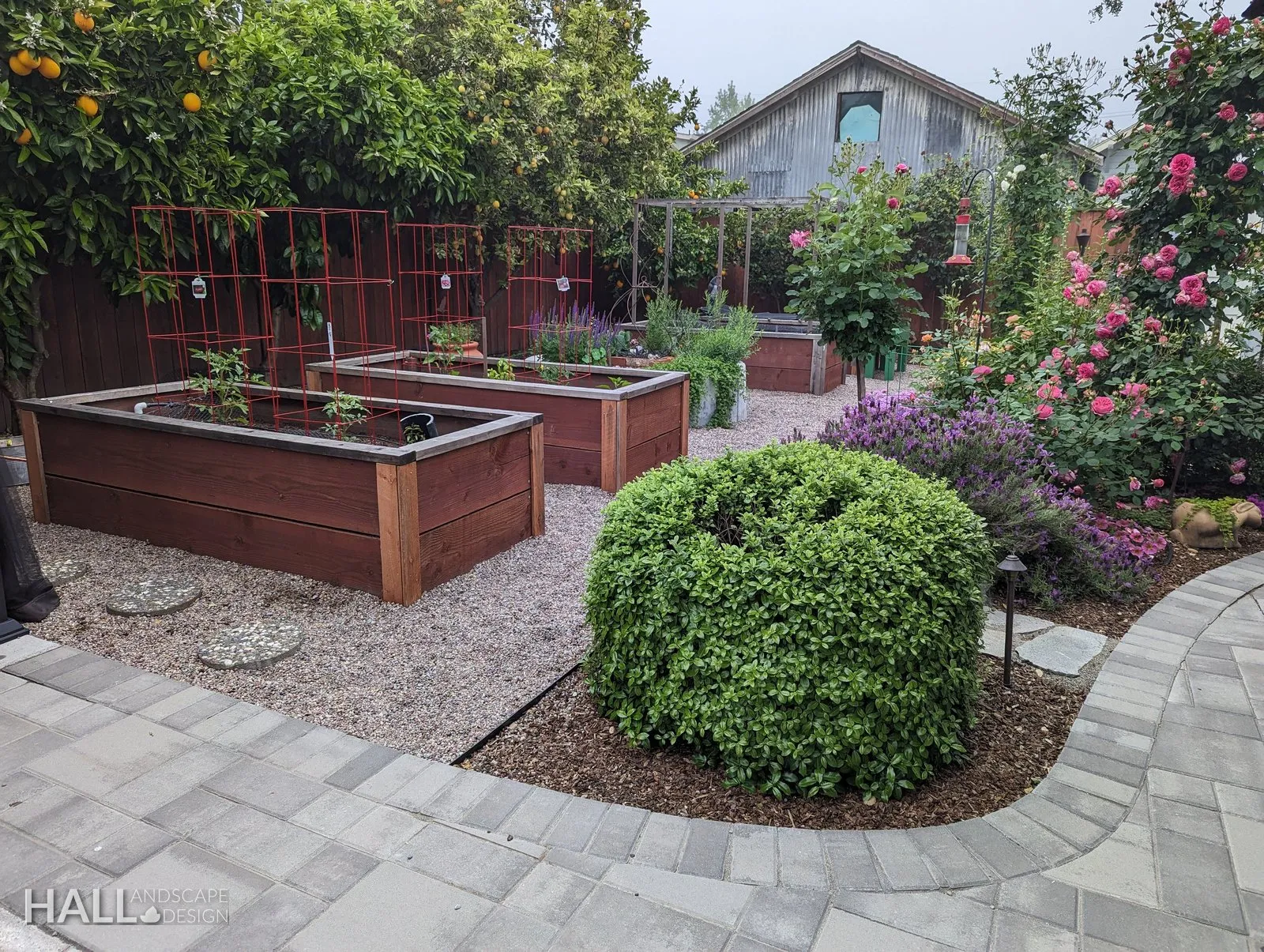 Veggie Gardens by Hall Landscape Design — Napa Valley & North Bay