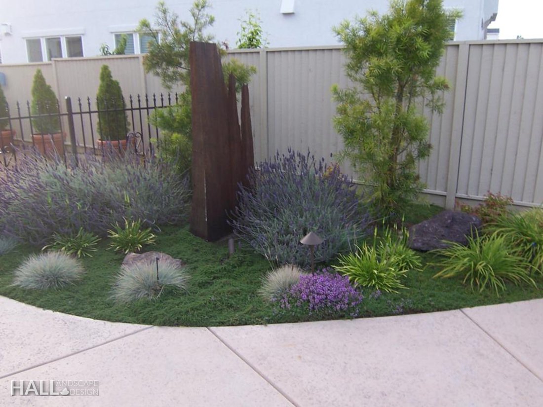 Layered planting designed for a dry North Bay summer