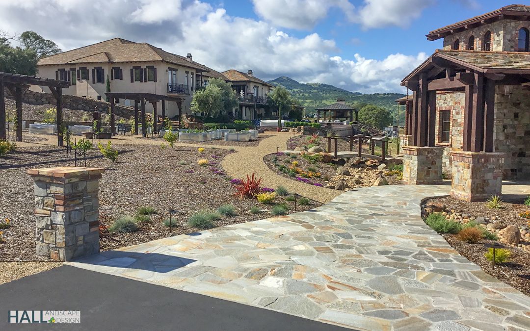 Marin Drought Tolerant Design Client project with drought-tolerant planting and modern design in Marin.